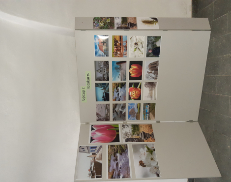 Obrázek k akci FOTOKURZ S ODSTUPEM ČASU