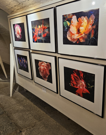 Obrázek k akci FOTOGRAFIE