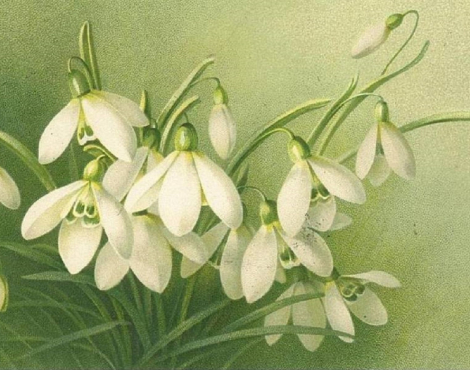 Obrázek k akci v Galerii M ROZKĚT KULTURY V ČECHÁCH Barbary Novorodé