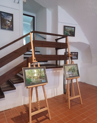 Obrázek k akci FOTOGRAFIE A DIGITÁLNÍ KRESBA