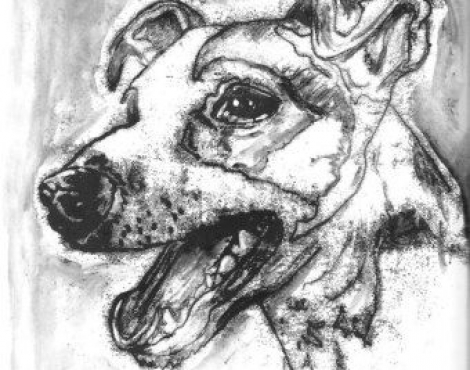 Obrázek k akci v Galerii M KOUZELNÝ MONOTYP S MAZLÍČKY