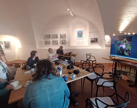 Obrázek k akci JARNÍ FOTOKURZ - NOVÉ SVĚTLO,  NOVÝ POHLED